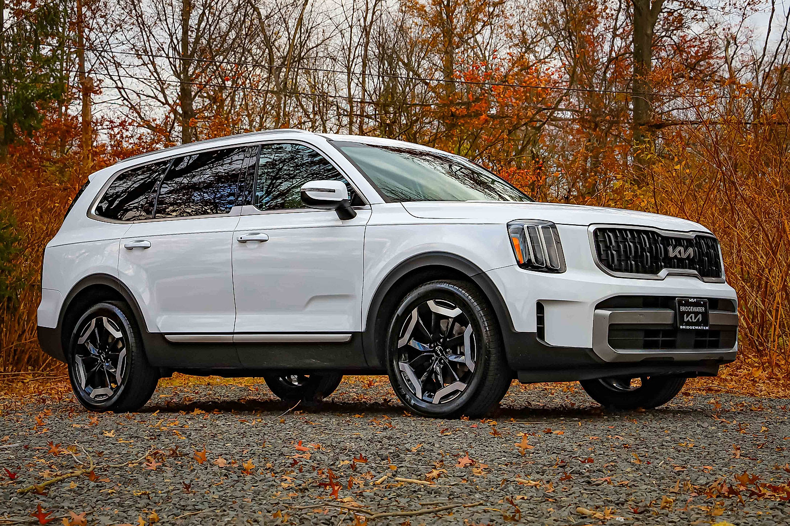 Used 2023 Kia Telluride EX w/ EX Captain's Chair Package image 19