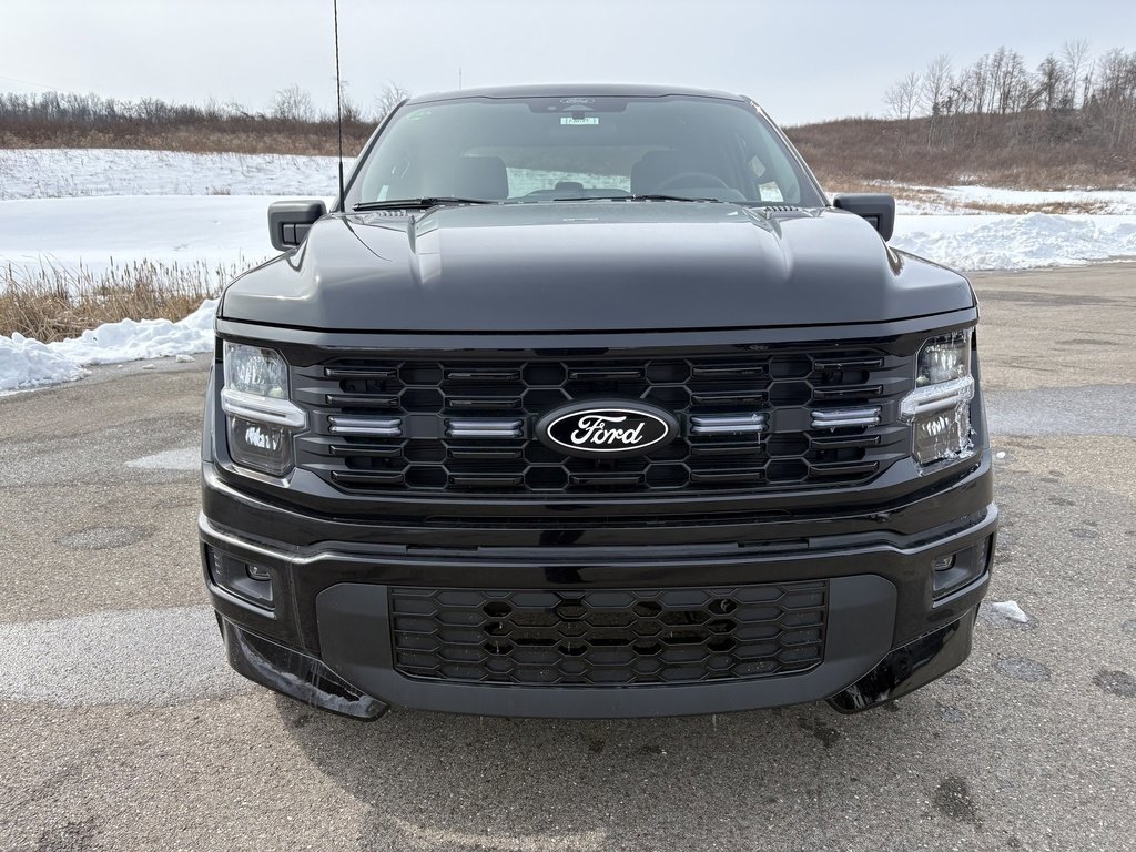 New 2026 Ford F150 STX w/ F-150 LOBO Package image 8