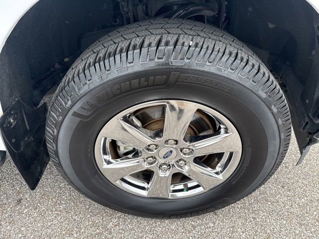 Used 2019 Ford F150 XLT w/ Equipment Group 302A Luxury AWD/4WD image 14