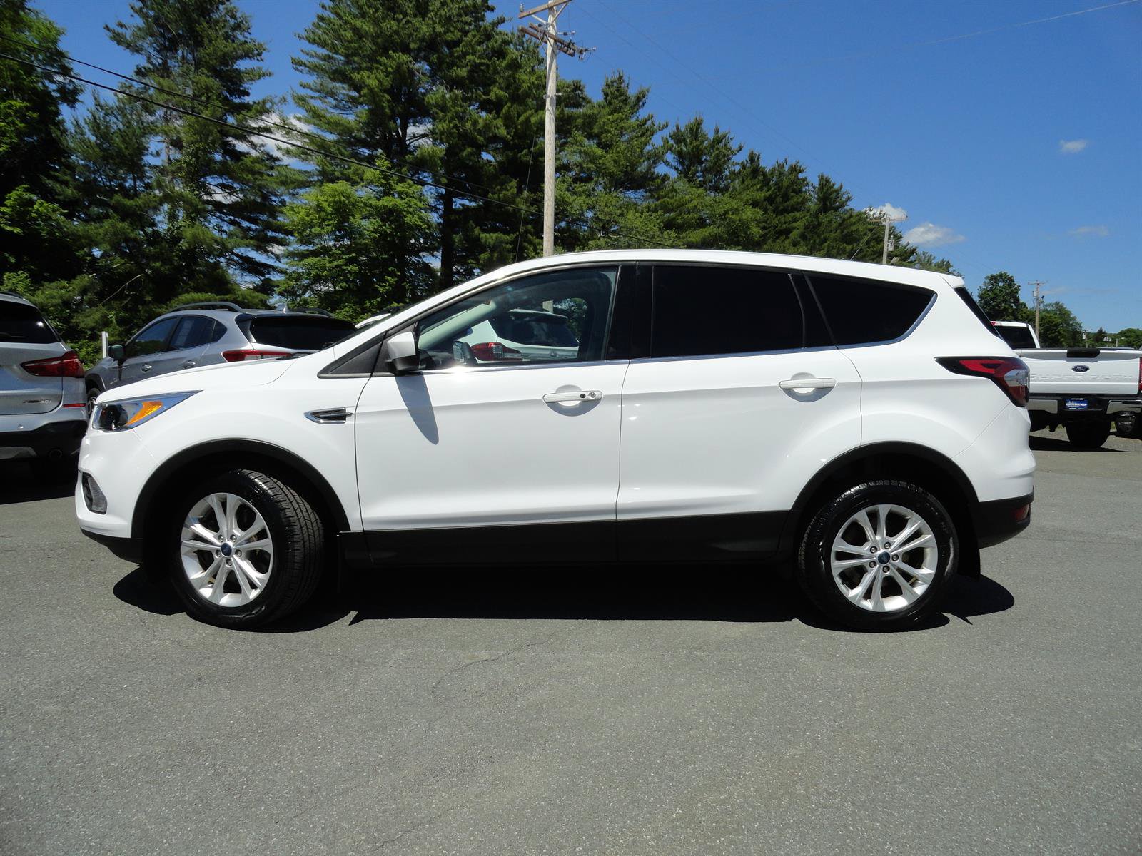 Used 2019 Ford Escape SE AWD/4WD image 8