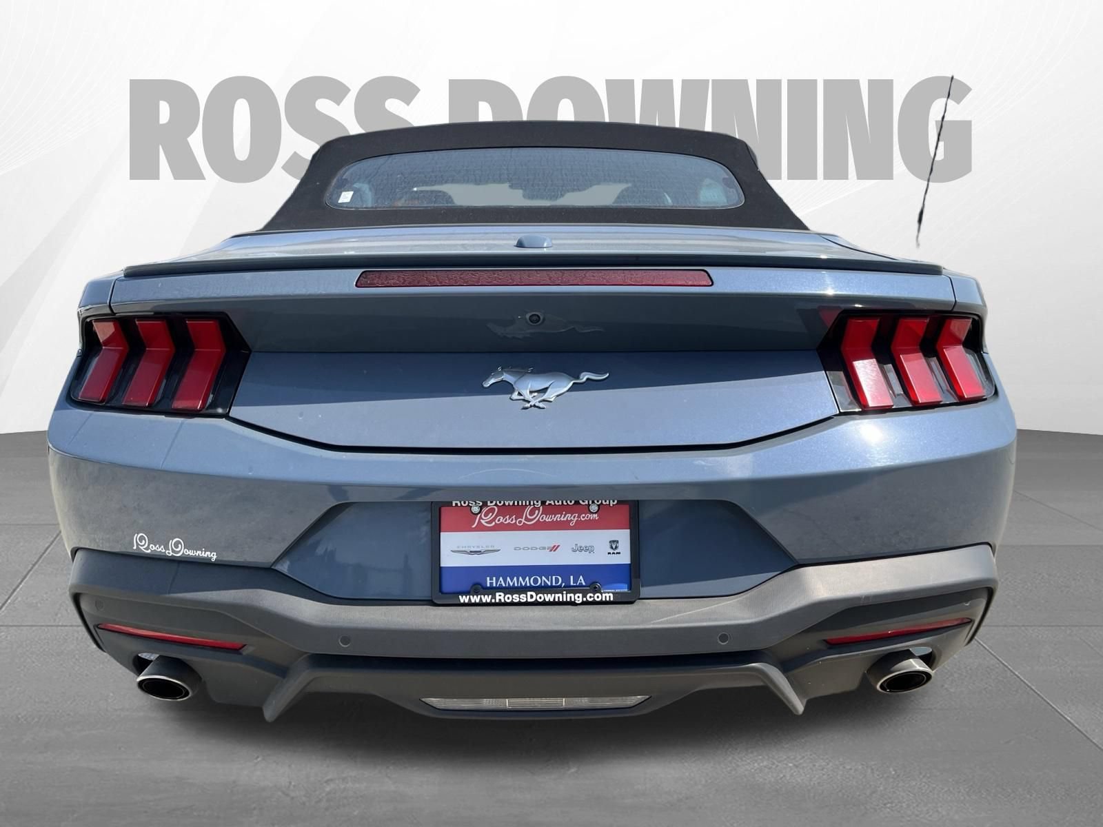 Used 2024 Ford Mustang Premium RWD image 5