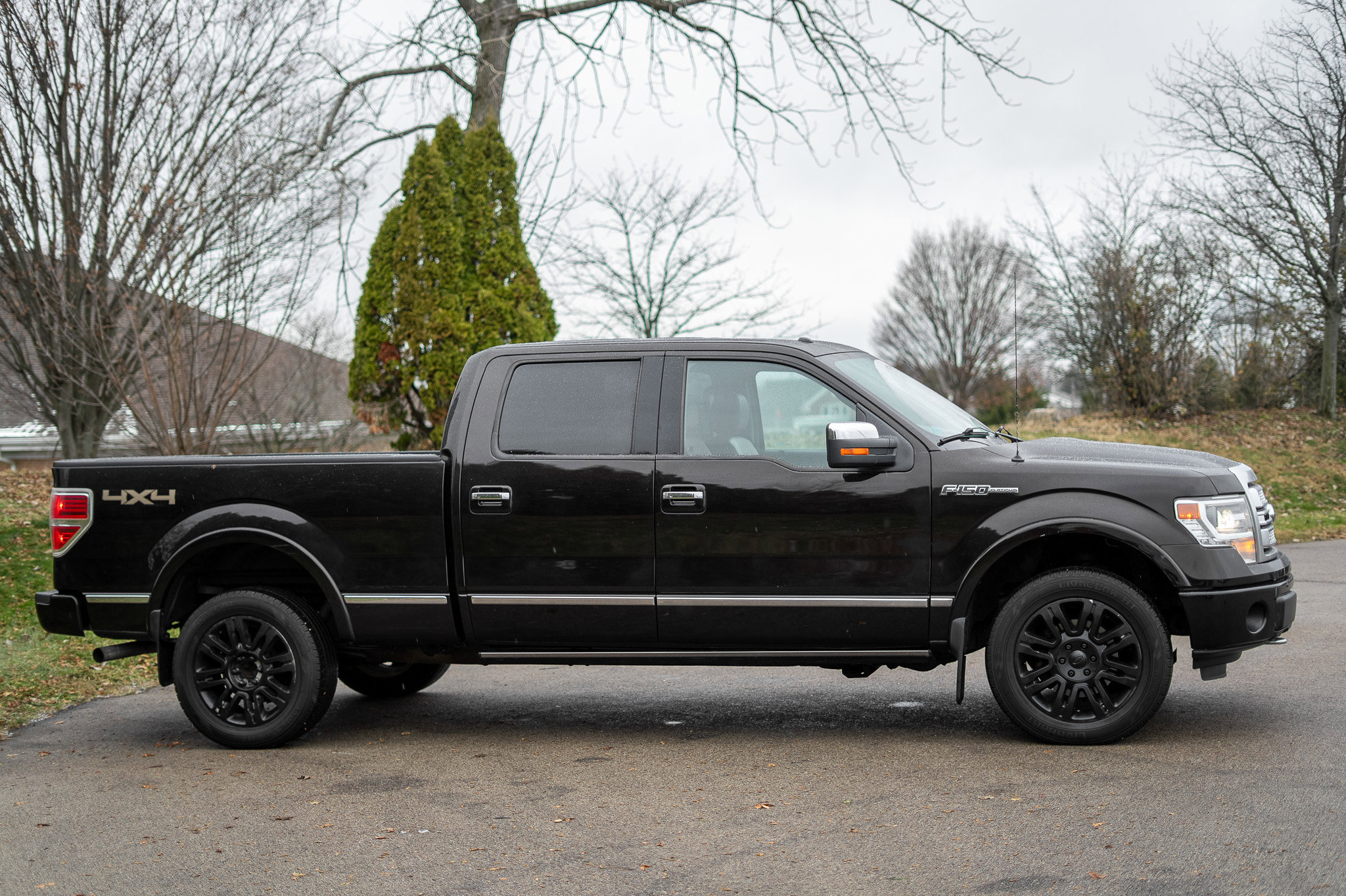 Used 2014 Ford F150 Platinum image 4