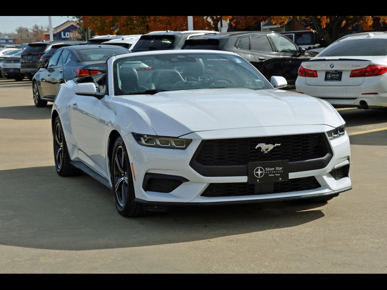 Used 2025 Ford Mustang Premium image 1