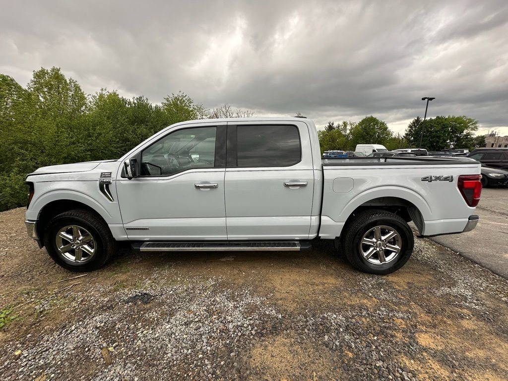 New 2025 Ford F150 XLT w/ Equipment Group 302A MID AWD/4WD image 2