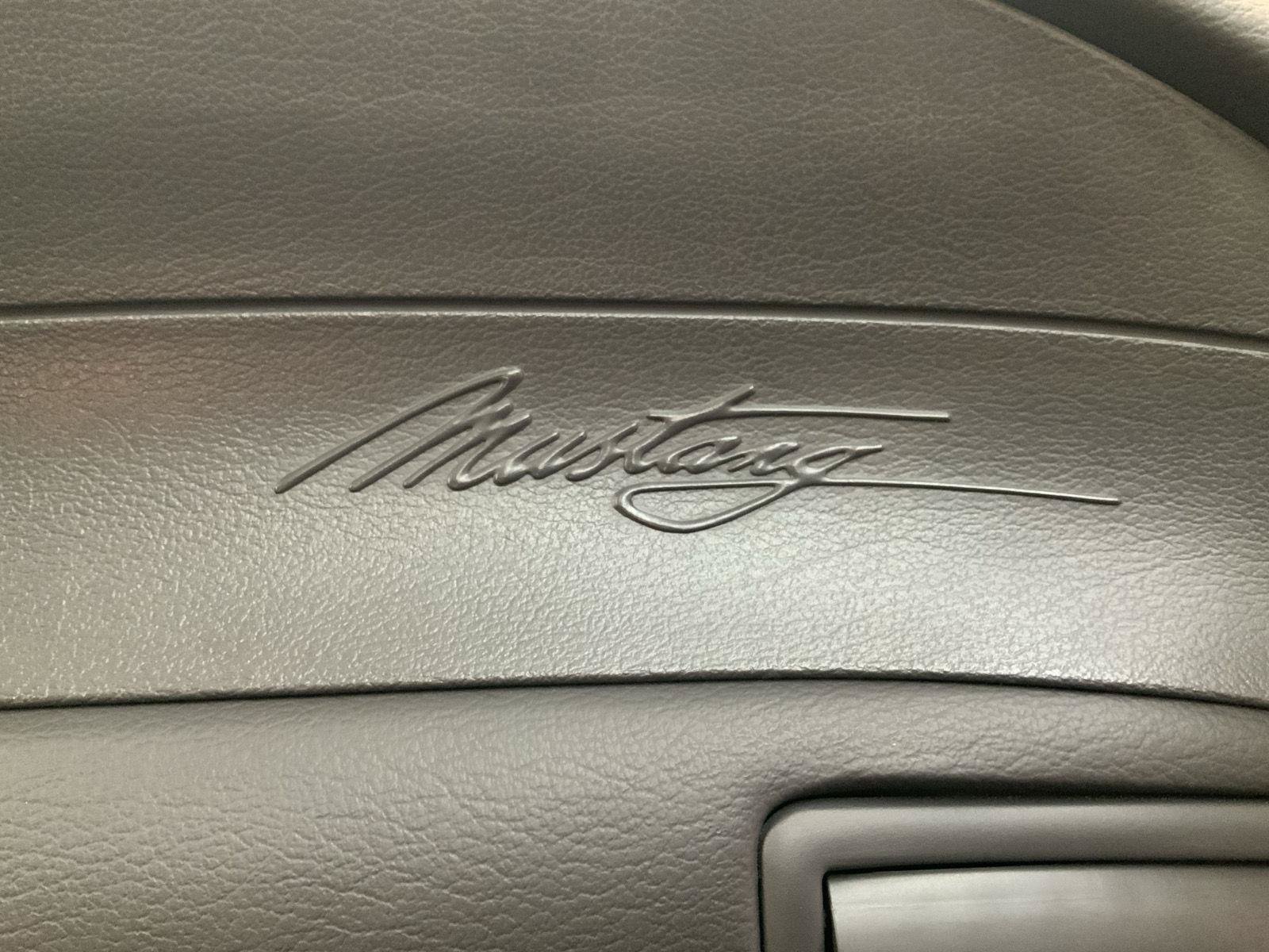 Used 2003 Ford Mustang GT Premium RWD image 38