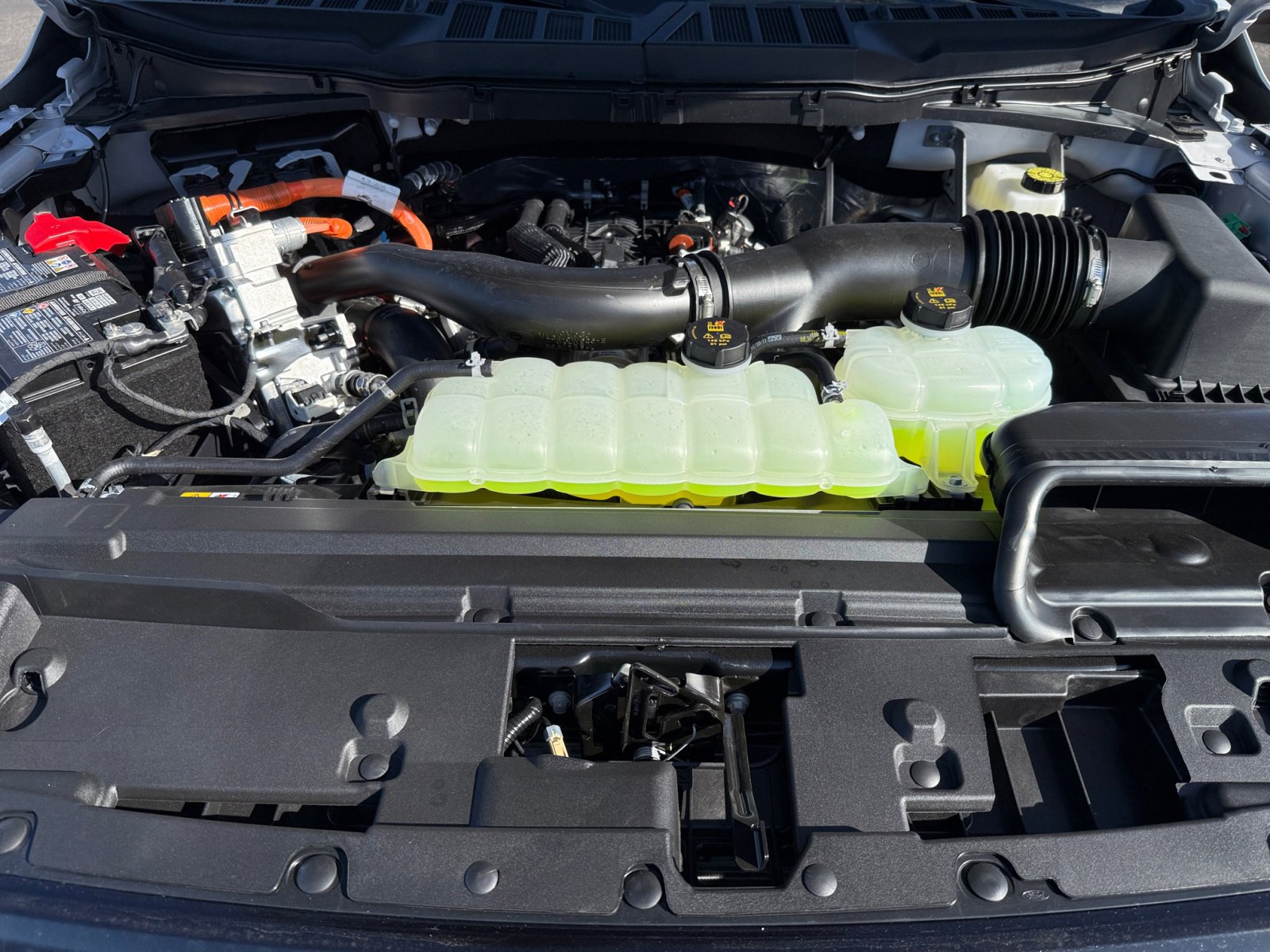 New 2025 Ford F150 XLT w/ Equipment Group 302A MID image 20