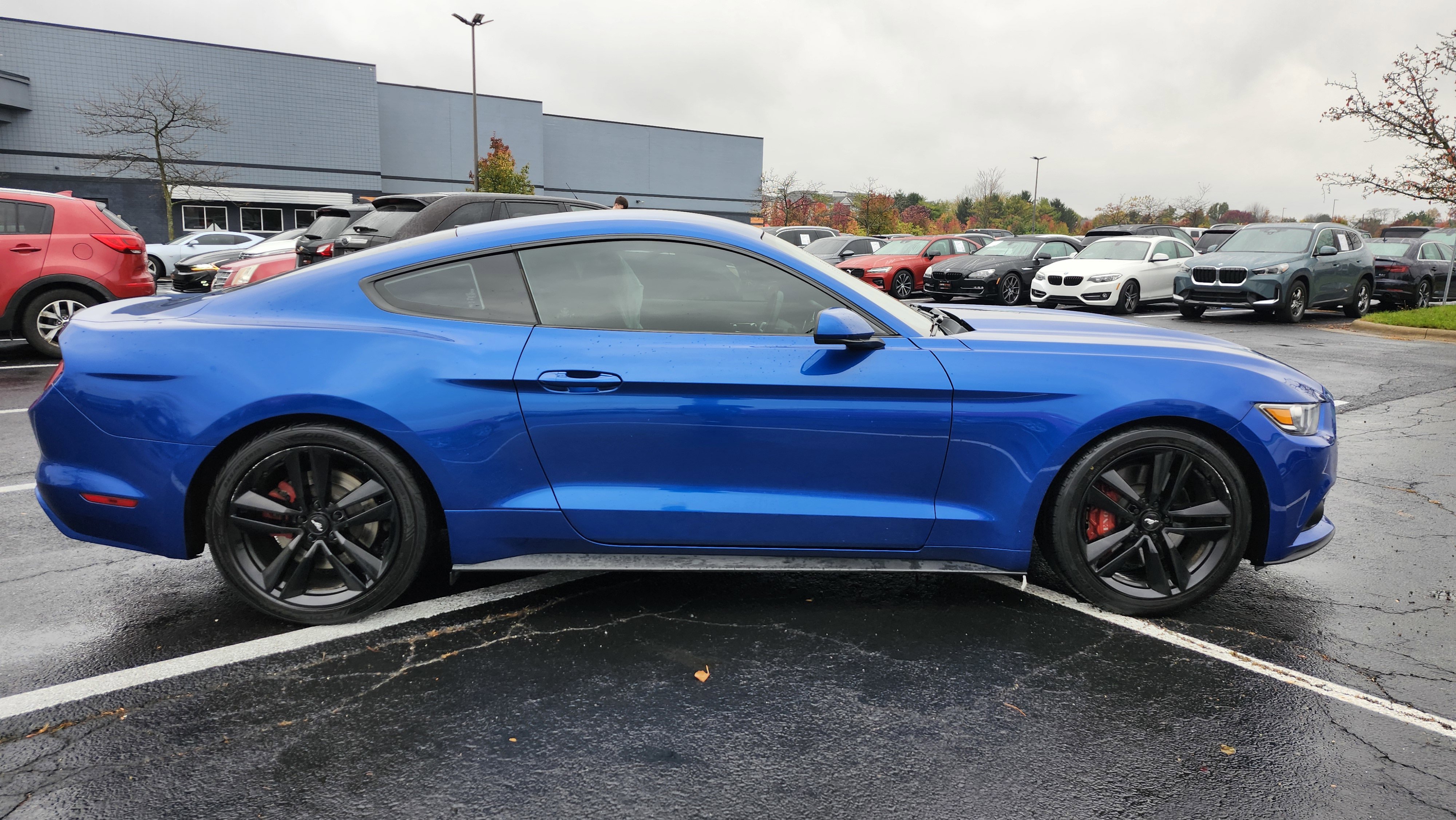 Used 2017 Ford Mustang Coupe w/ Ecoboost Performance Package image 12