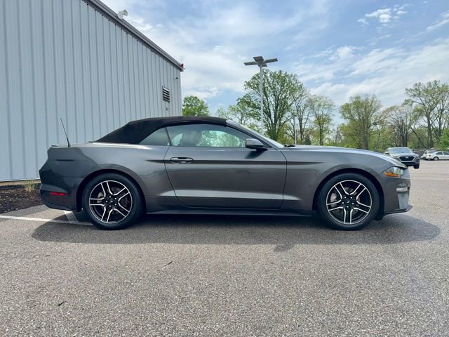 Used 2019 Ford Mustang Premium RWD image 7