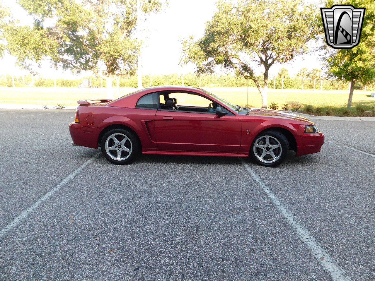 Used 2001 Ford Mustang Cobra image 3