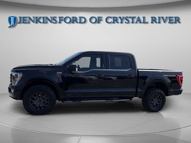 Used 2022 Ford F150 Tremor w/ Equipment Group 401A Mid AWD/4WD image 9
