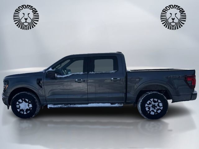 New 2025 Ford F150 XLT w/ Equipment Group 302A MID image 8