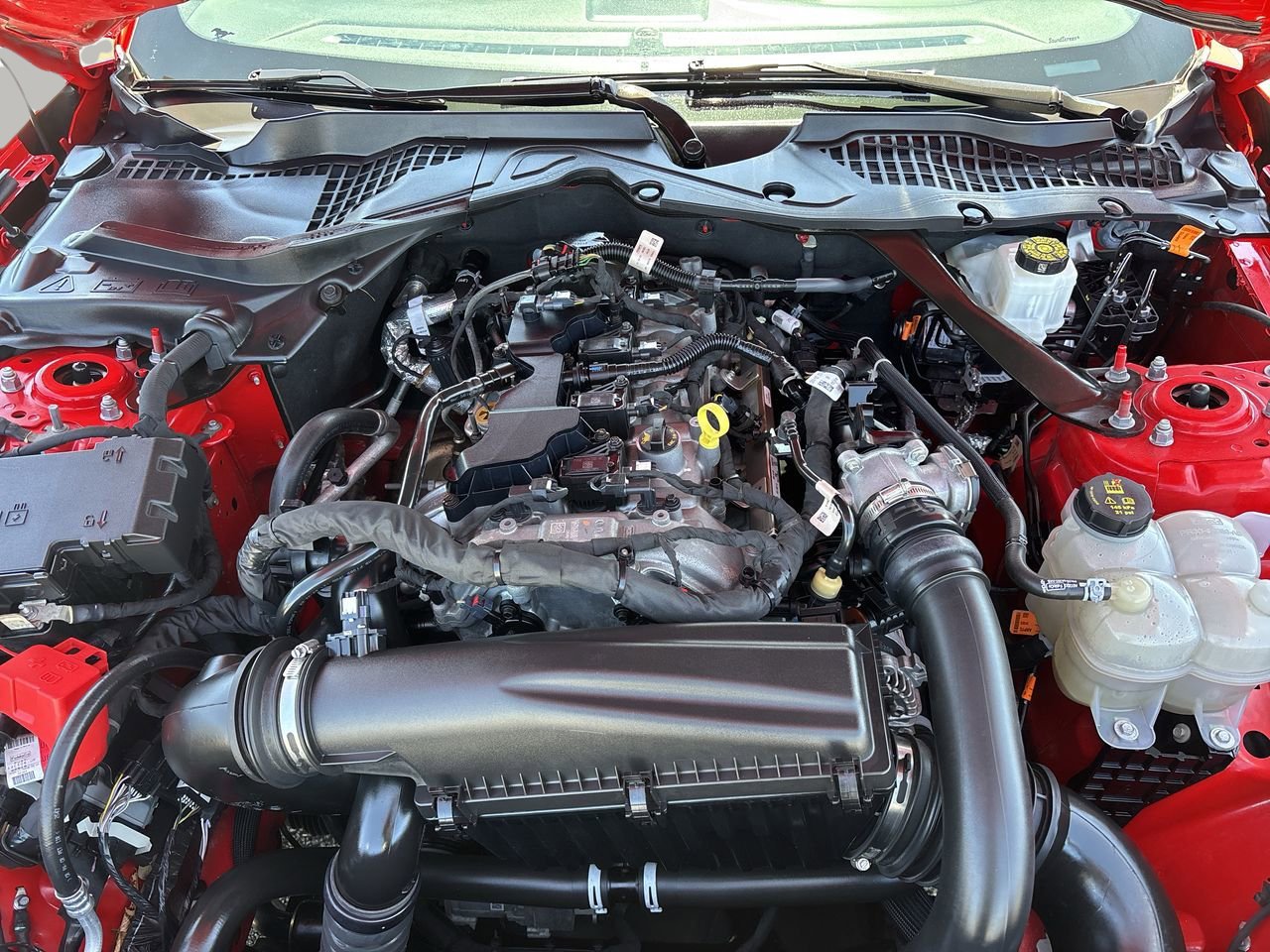 Certified 2024 Ford Mustang Premium RWD image 10