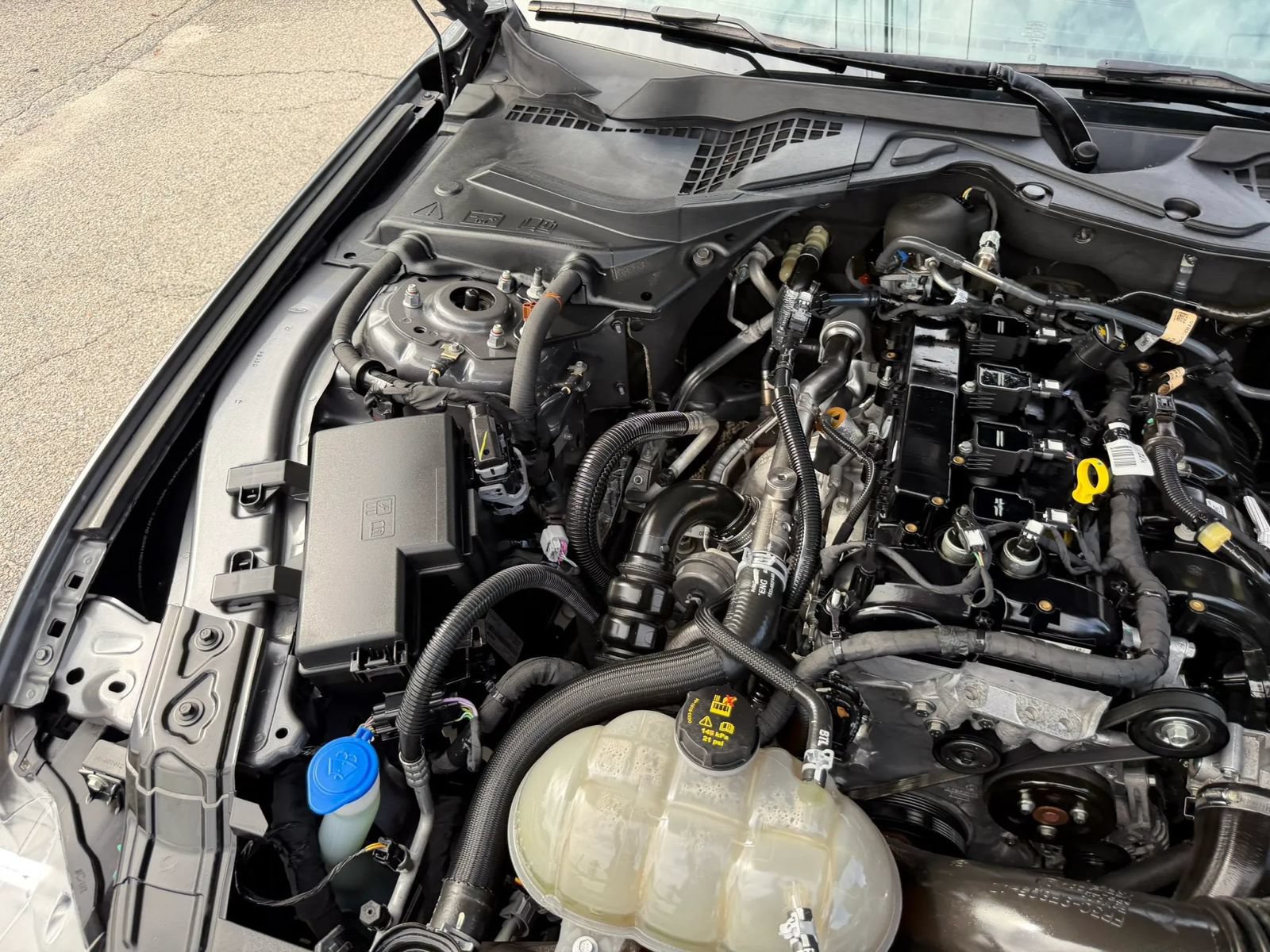 Used 2022 Ford Mustang Premium w/ Equipment Group 201A RWD image 32