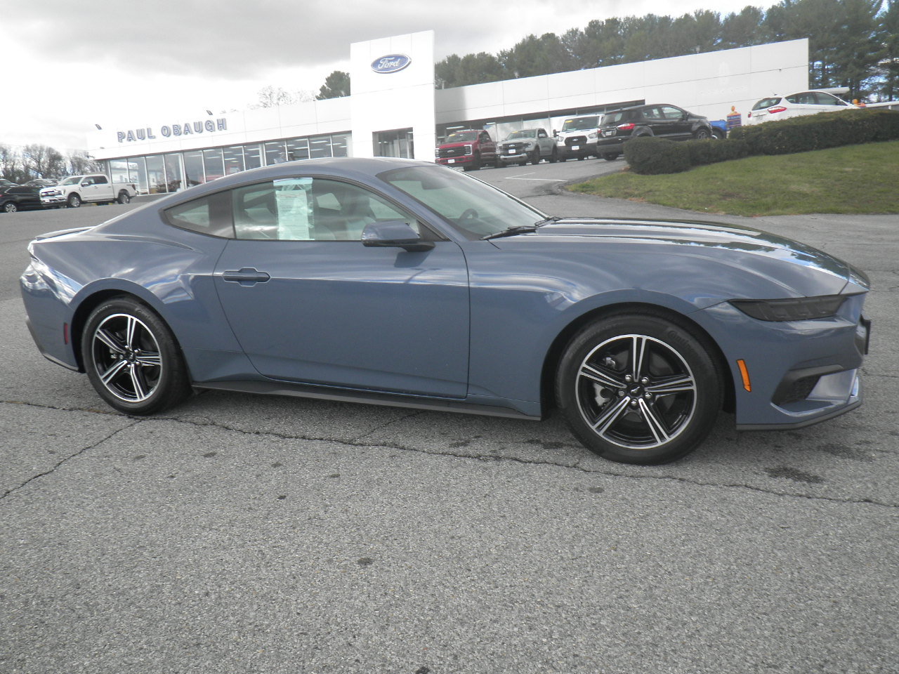 Used 2025 Ford Mustang Premium image 8