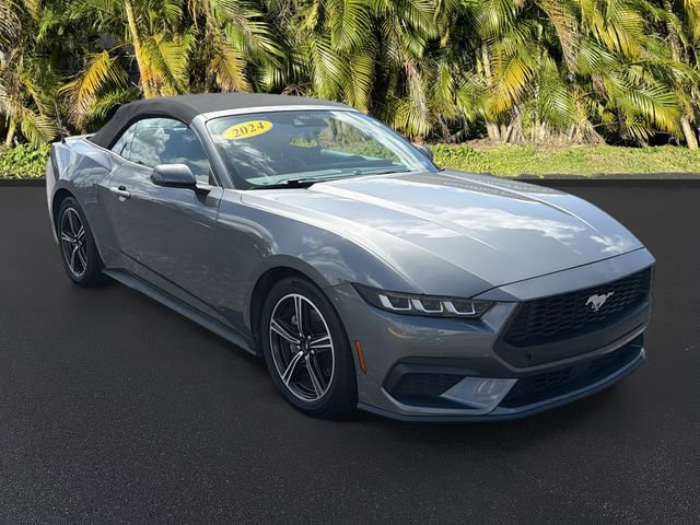 Used 2024 Ford Mustang Premium RWD image 2