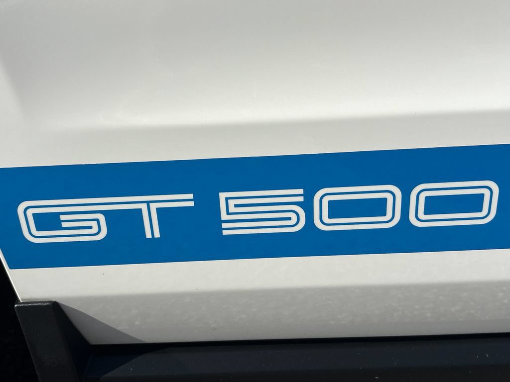 Used 2010 Ford Mustang Shelby GT500 RWD image 23