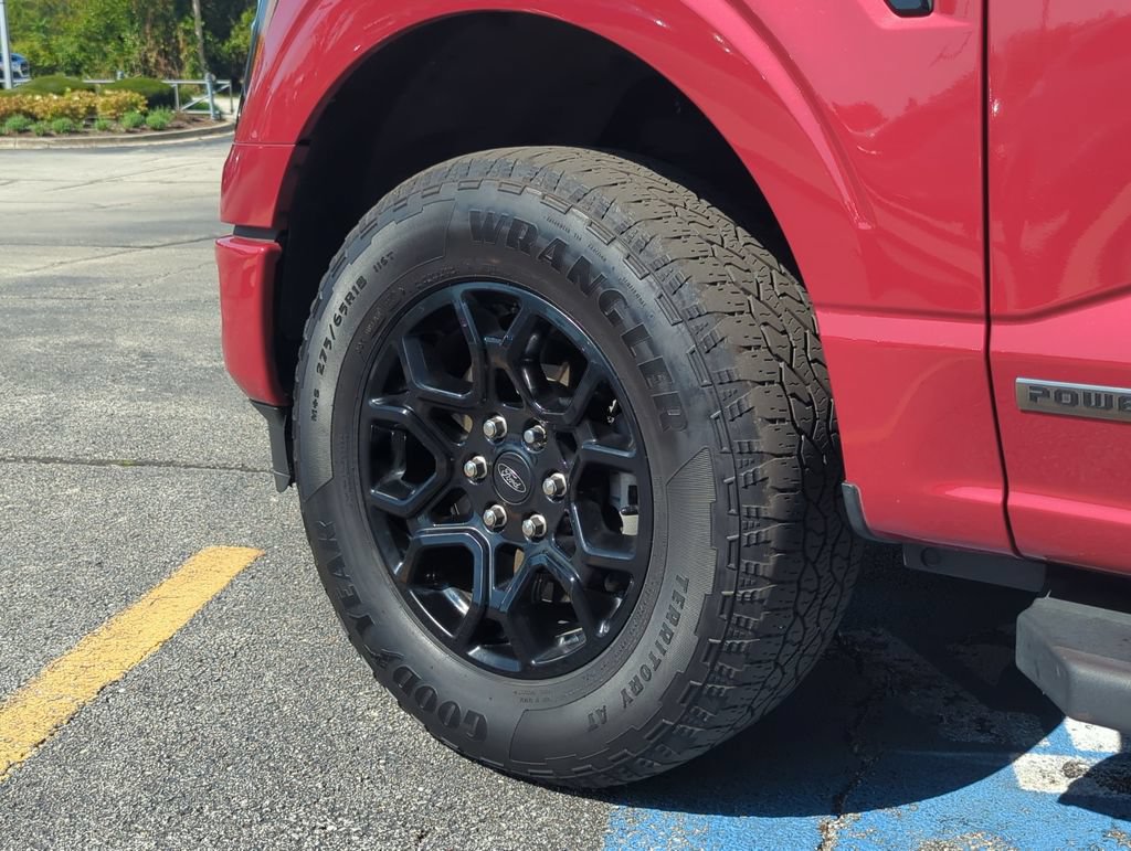 Used 2024 Ford F150 XLT w/ Equipment Group 302A MID AWD/4WD image 9