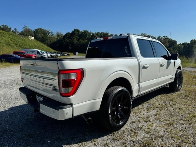 Used 2021 Ford F150 Limited AWD/4WD image 8