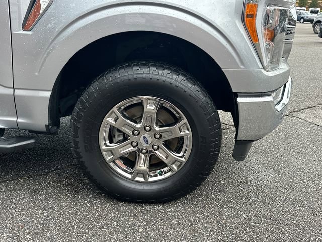 Certified 2023 Ford F150 XLT w/ Equipment Group 302A High image 12