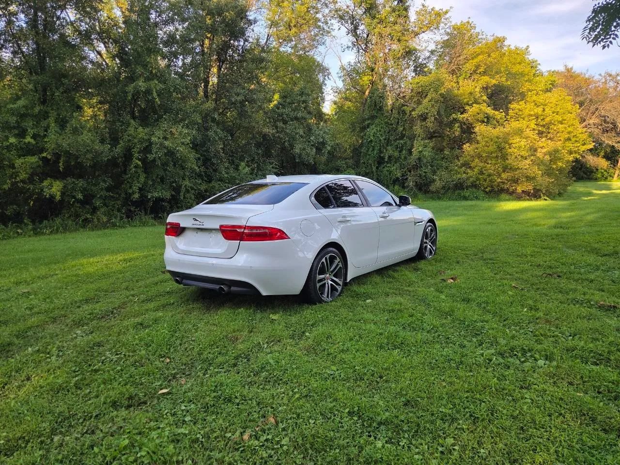 Used 2017 Jaguar XE Premium AWD/4WD image 4