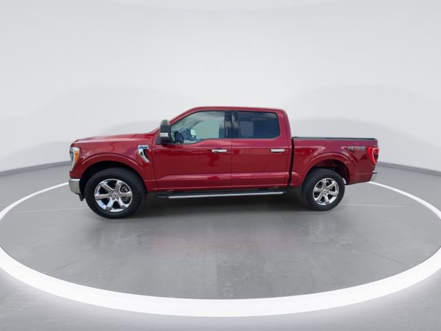 Used 2021 Ford F150 XLT w/ Equipment Group 302A High AWD/4WD image 5