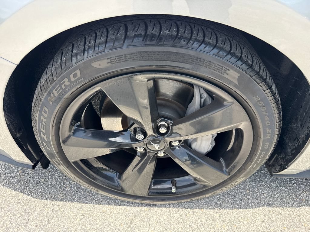 Used 2022 Ford Mustang GT Premium w/ Equipment Group 401A RWD image 13