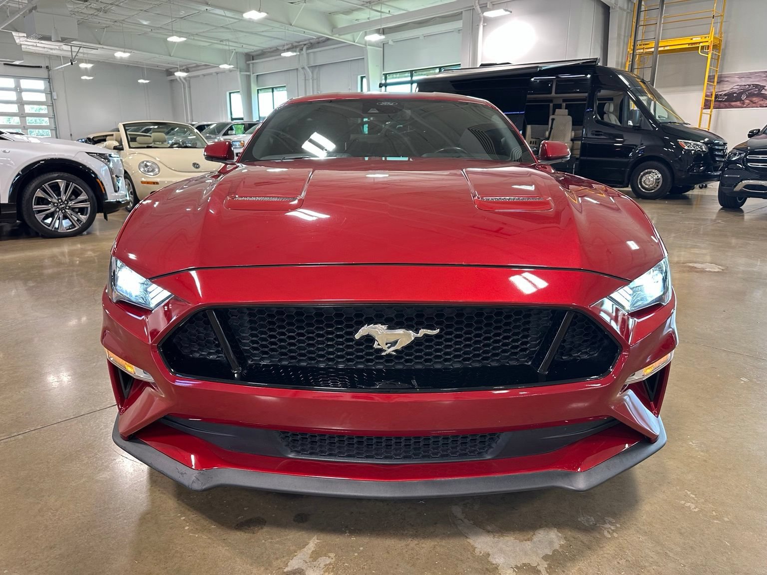 Used 2022 Ford Mustang GT Premium w/ Equipment Group 401A RWD image 2