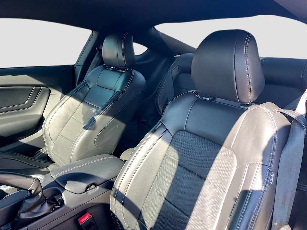 Used 2019 Ford Mustang GT Premium w/ Equipment Group 401A RWD image 21
