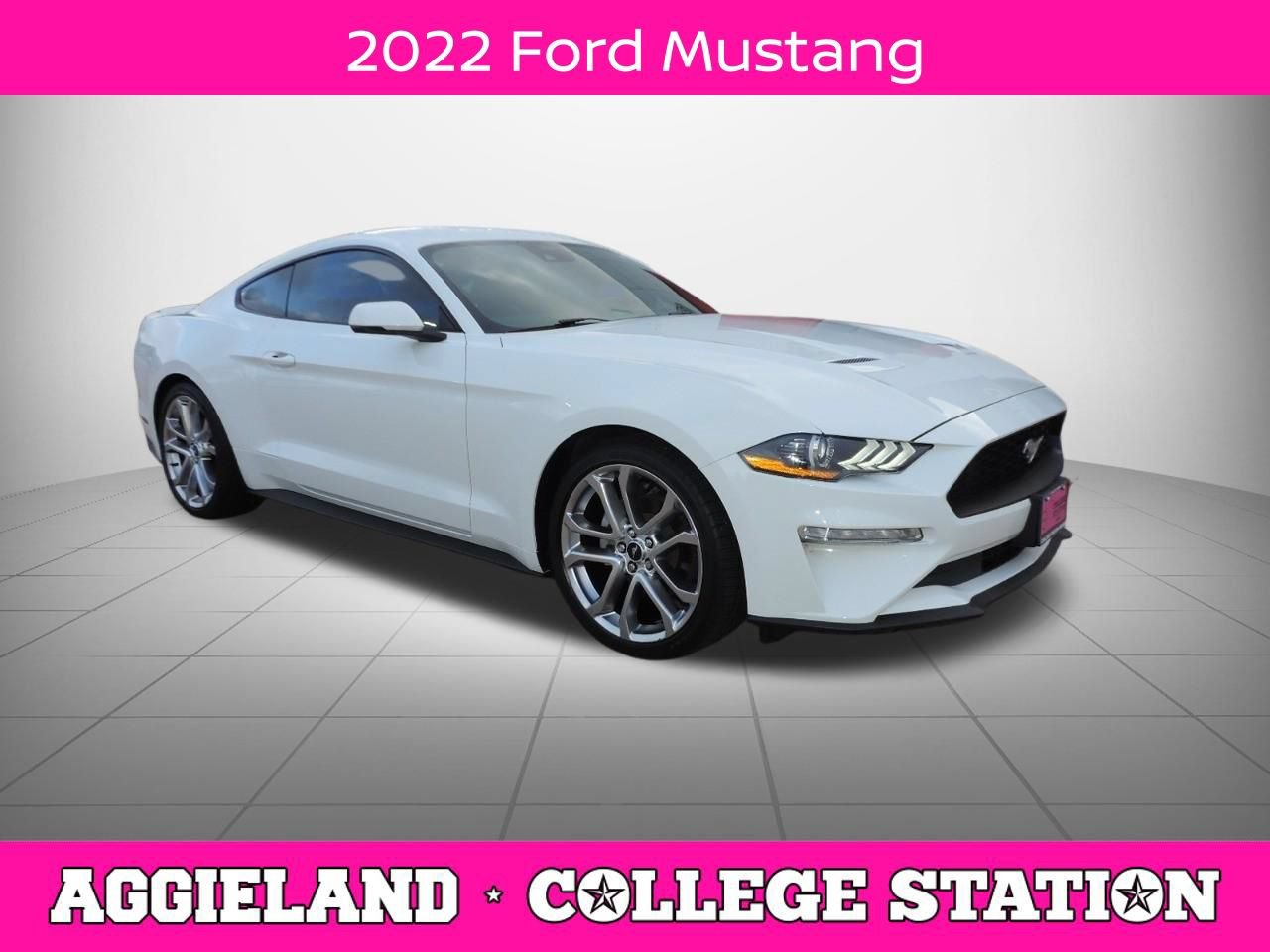Used 2022 Ford Mustang Premium w/ Equipment Group 201A