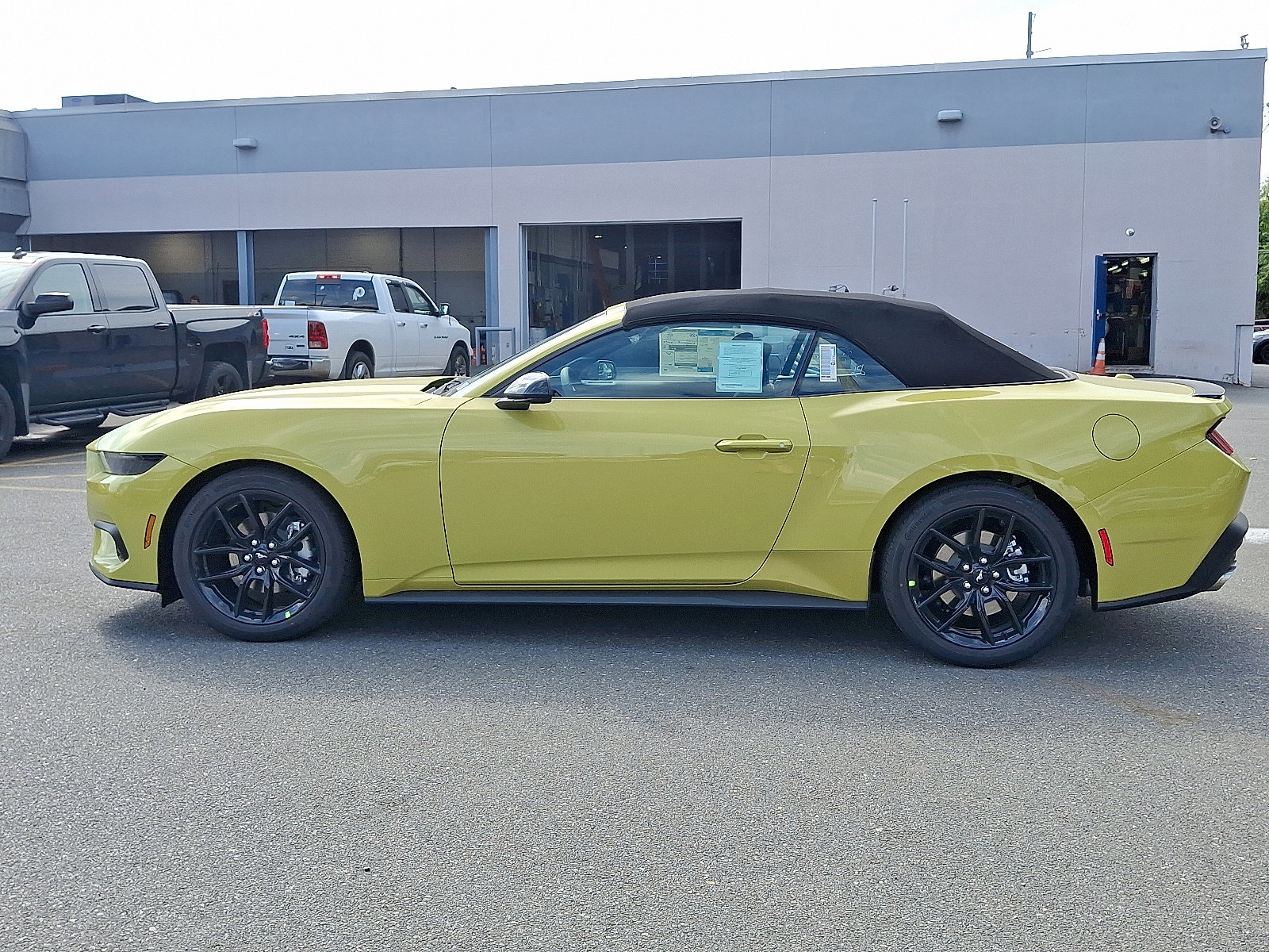 New 2025 Ford Mustang Premium w/ Mustang Nite Pony Package image 11