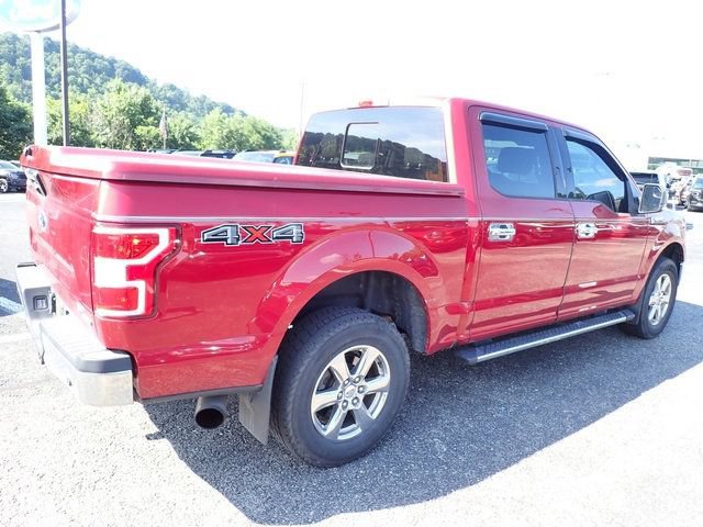 Used 2019 Ford F150 XLT w/ Equipment Group 302A Luxury AWD/4WD image 6
