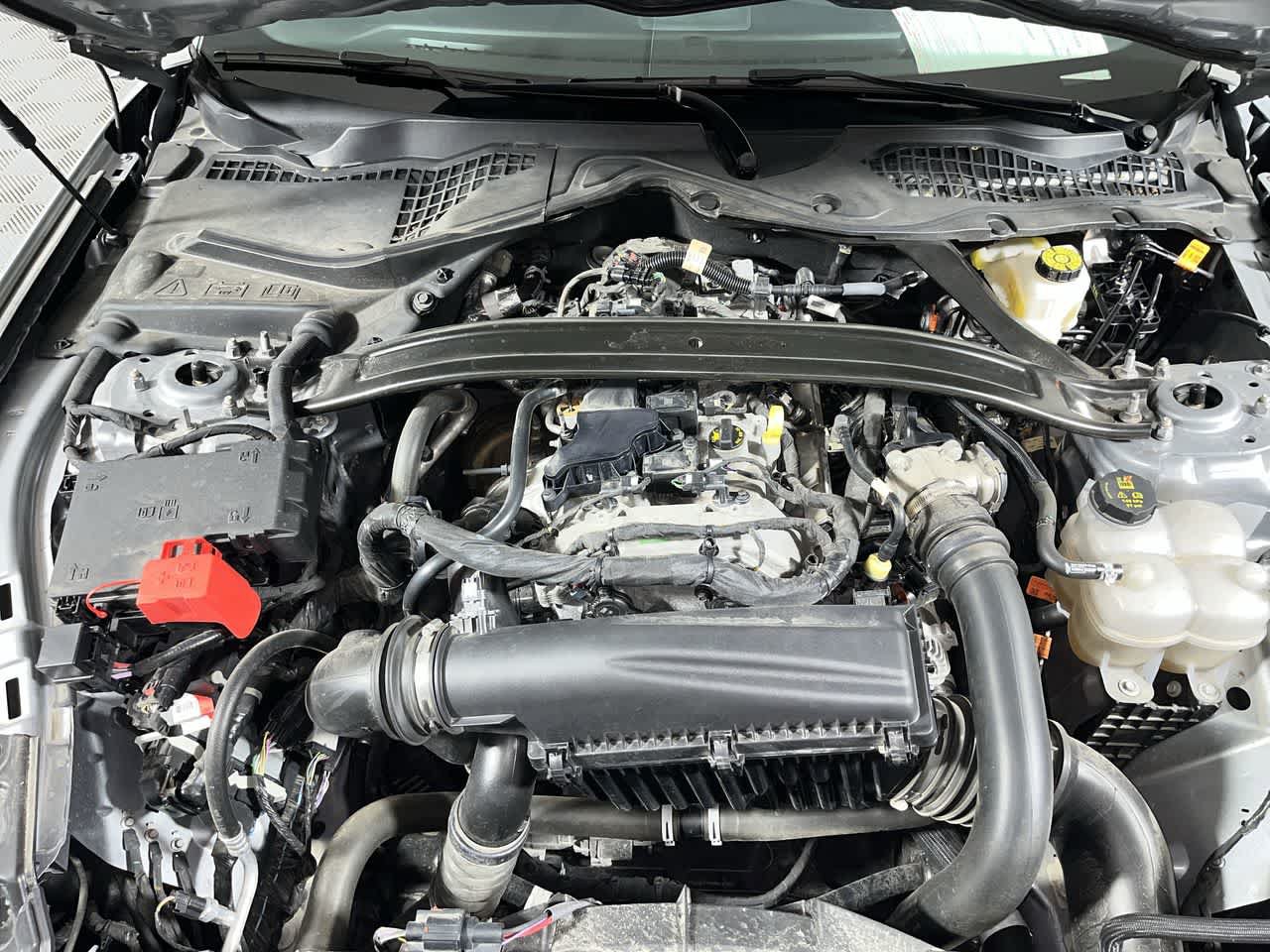 Used 2025 Ford Mustang Premium RWD image 12