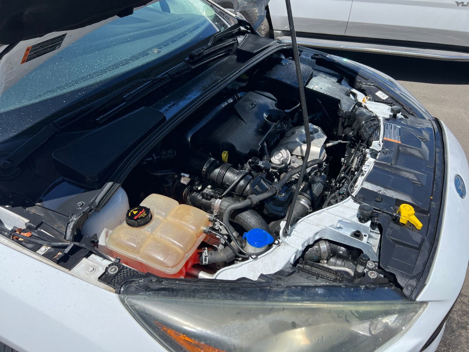 Used 2016 Ford Focus SE FWD image 31