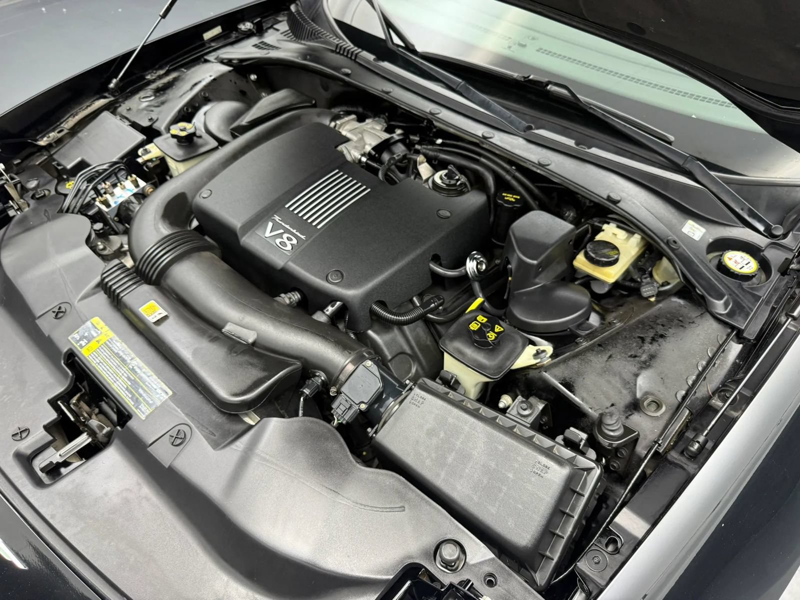 Used 2002 Ford Thunderbird RWD image 11