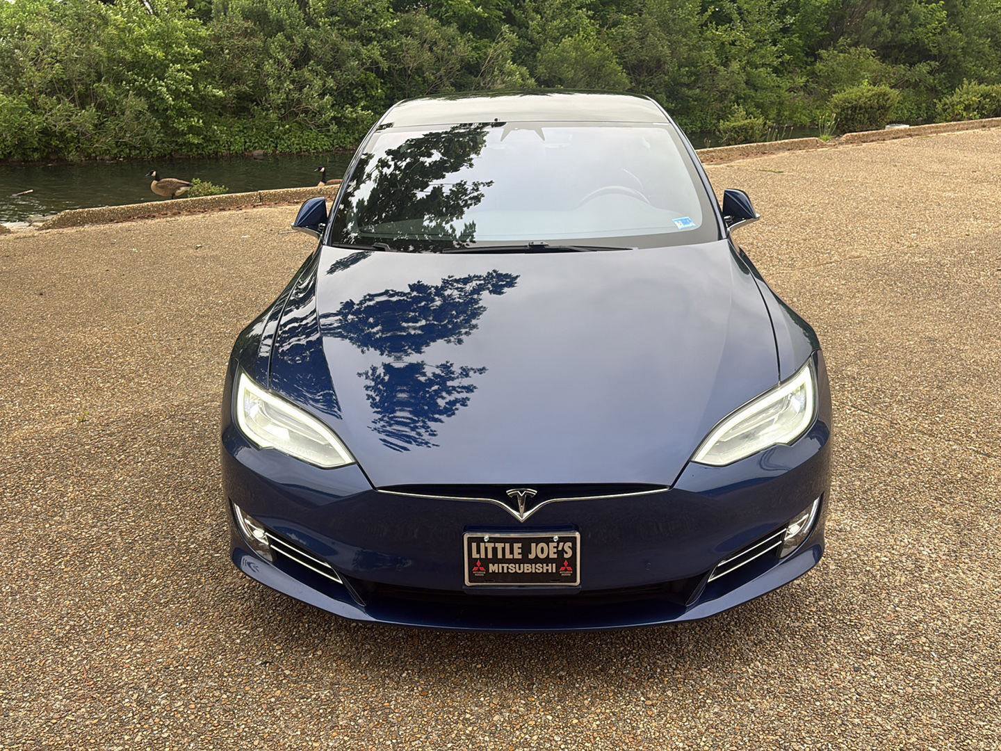 Used 2019 Tesla Model S 100D AWD/4WD image 14