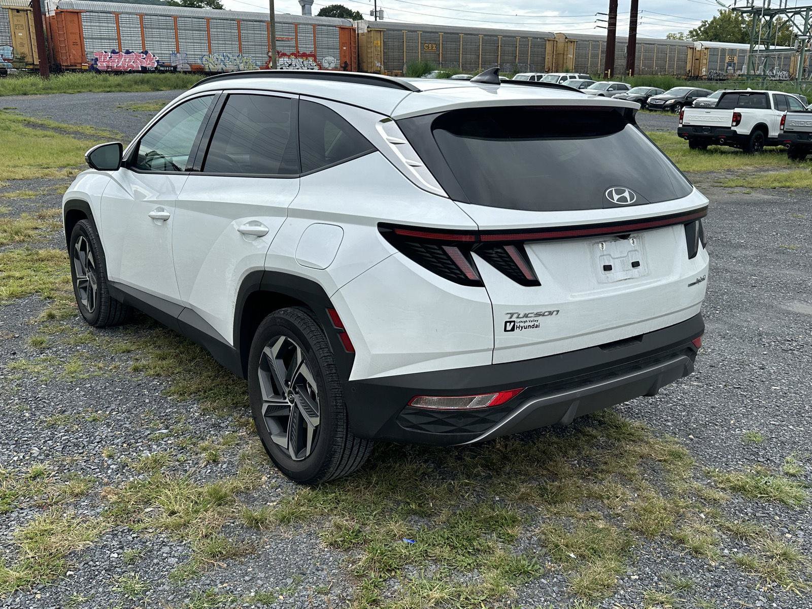 Certified 2024 Hyundai Tucson Limited AWD/4WD image 6