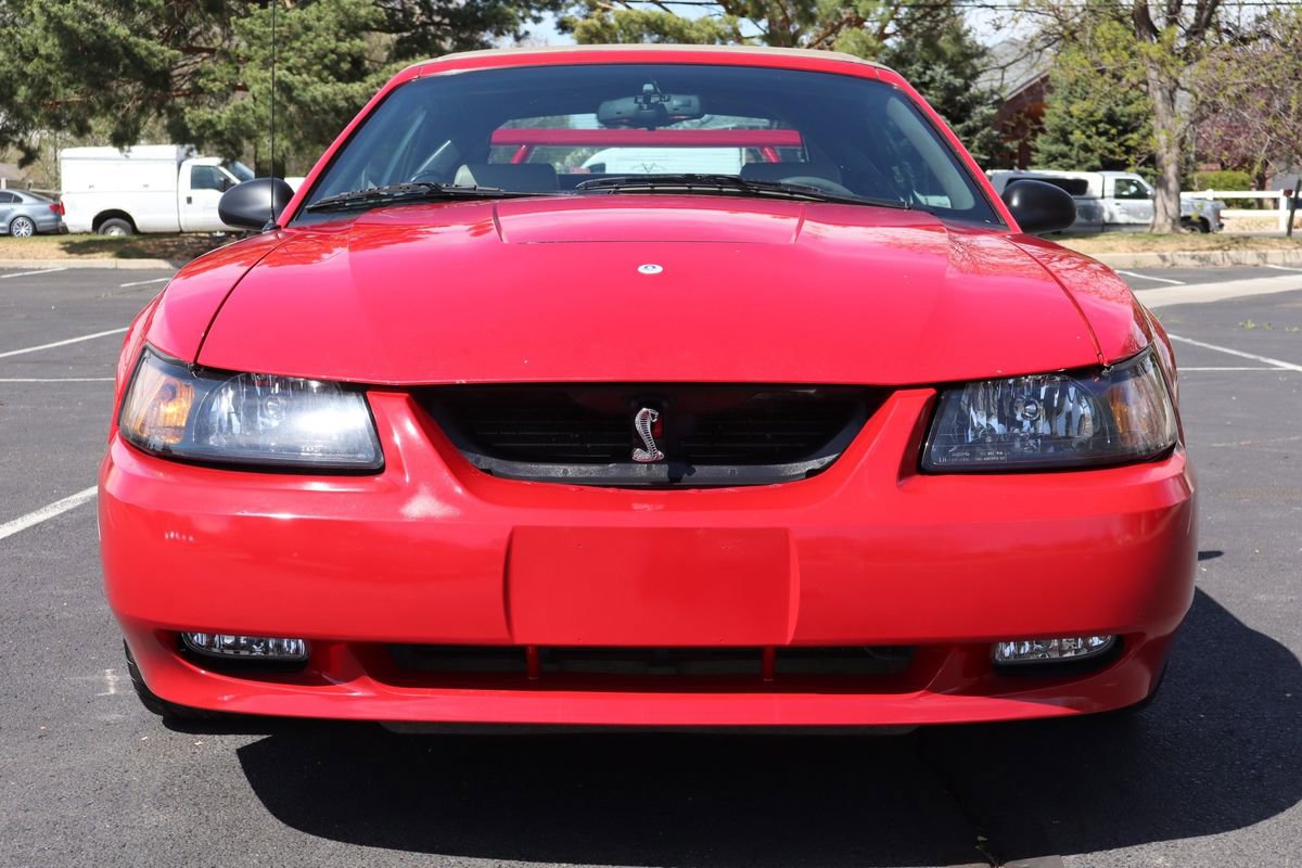 Used 1999 Ford Mustang Cobra image 13