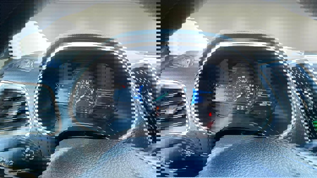 Used 2021 Ford Edge SE w/ Cargo Accessory Package image 12