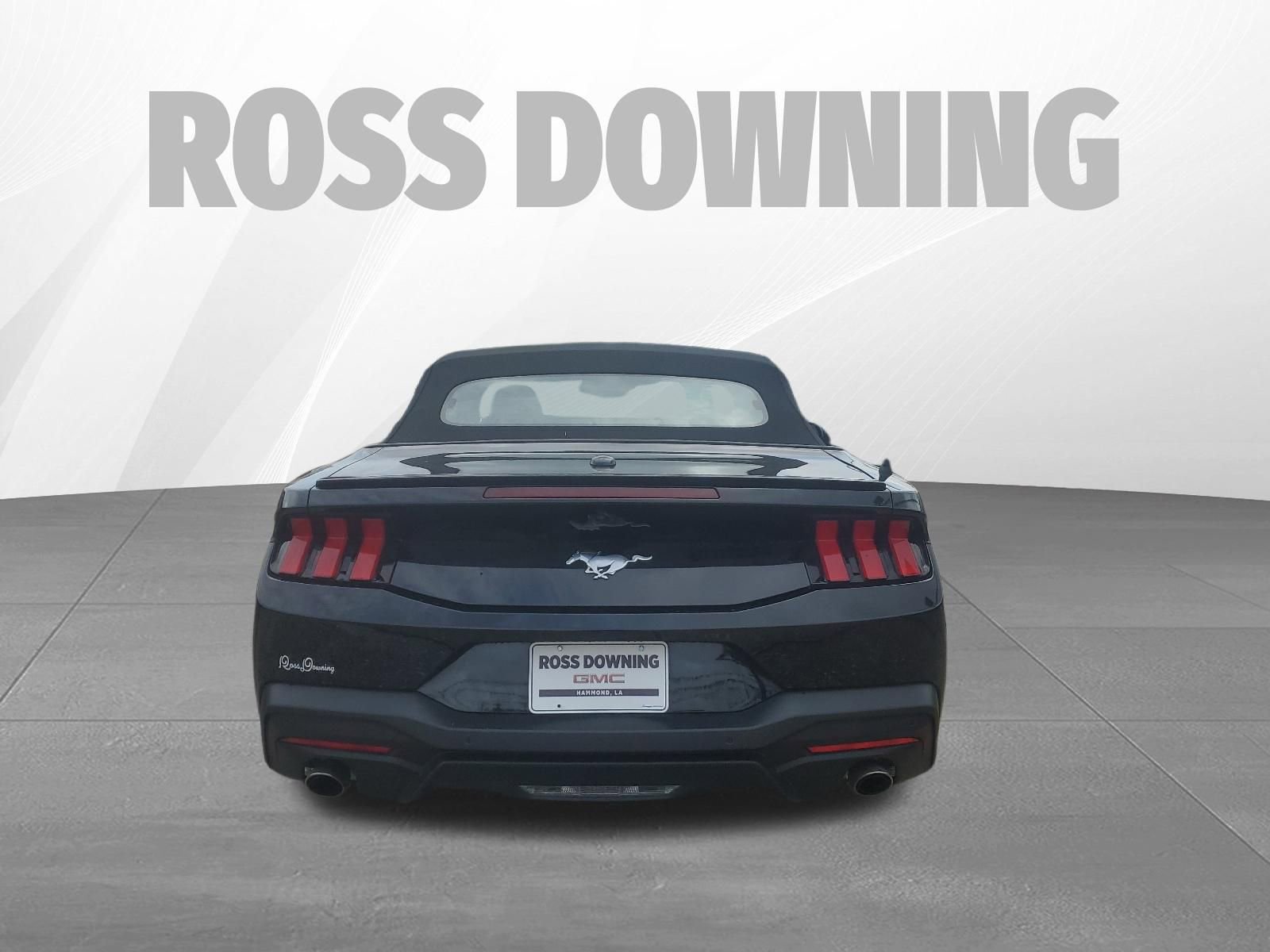 Used 2025 Ford Mustang Premium image 5