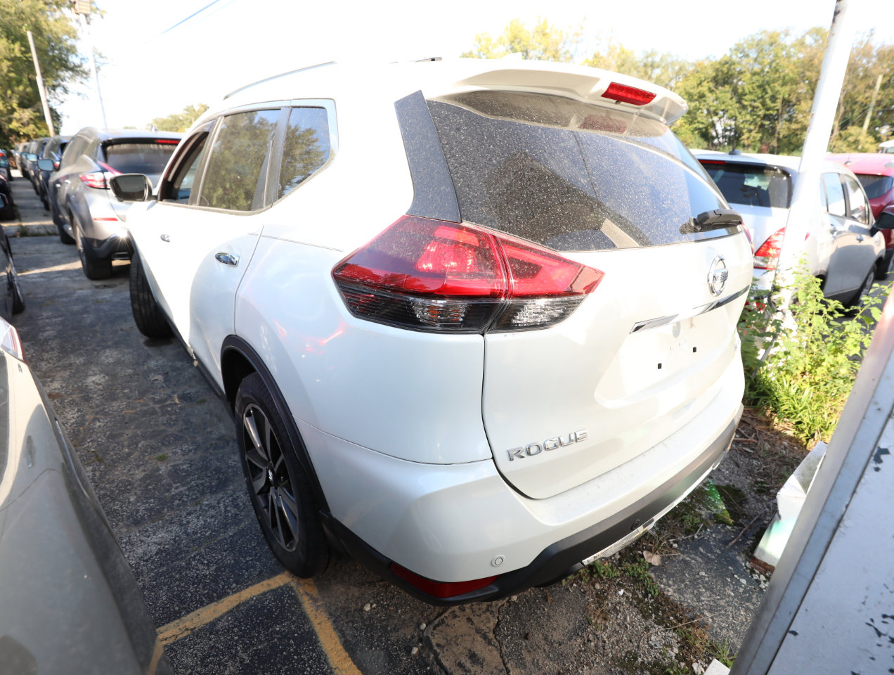 Used 2019 Nissan Rogue SL w/ Premium Package image 6