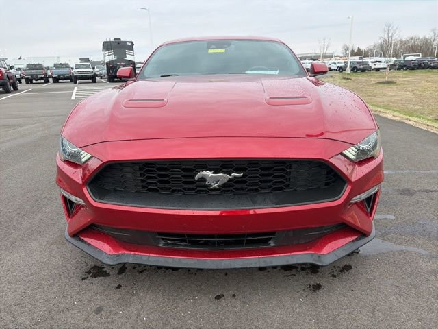 Used 2021 Ford Mustang EcoBoost w/ Equipment Group 101A image 10