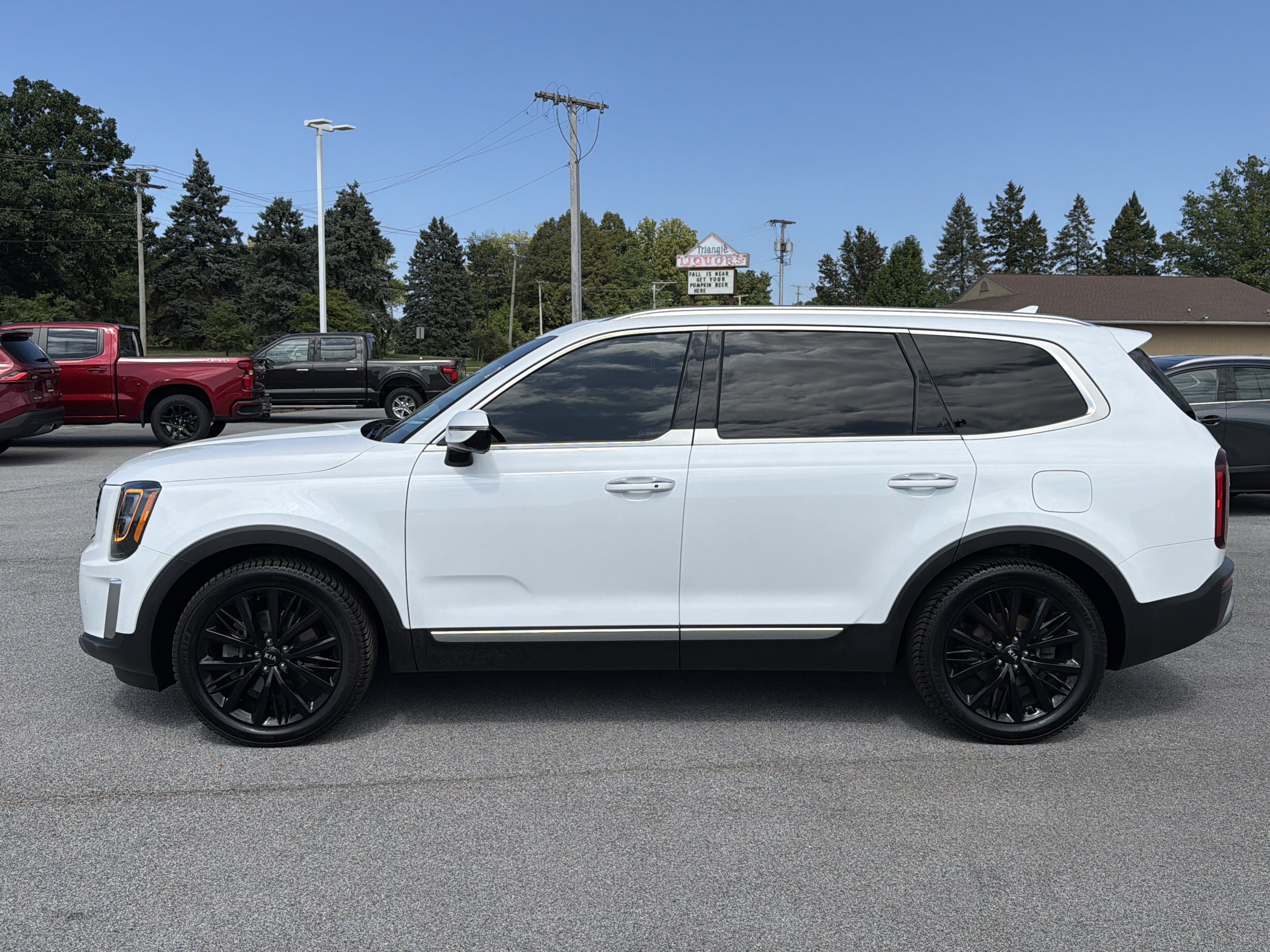 Used 2020 Kia Telluride SX w/ SX Prestige Package AWD/4WD image 6