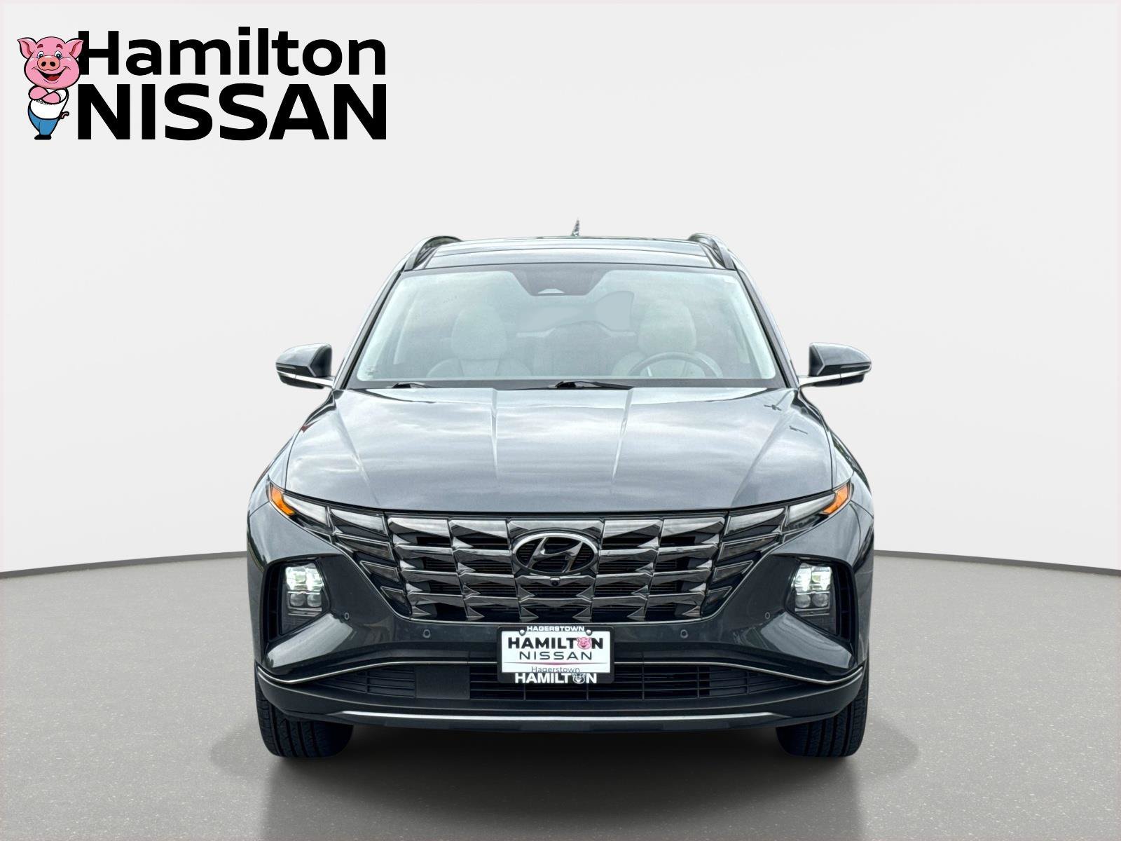 Used 2024 Hyundai Tucson Limited AWD/4WD image 6