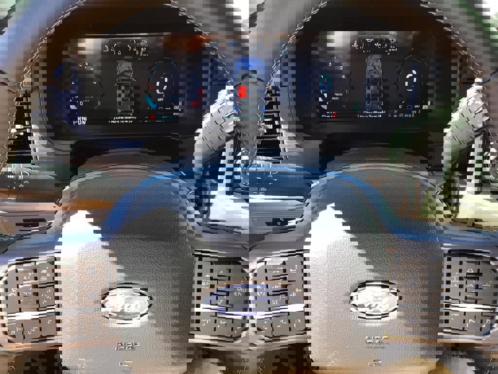 New 2025 Ford F150 XLT w/ Equipment Group 302A MID image 19