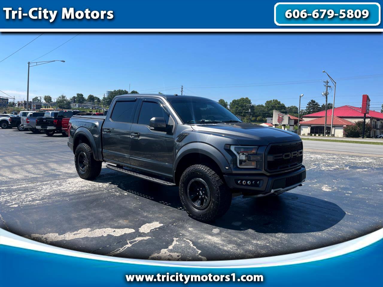 Used 2017 Ford F150 Raptor w/ Equipment Group 802A Luxury image 1