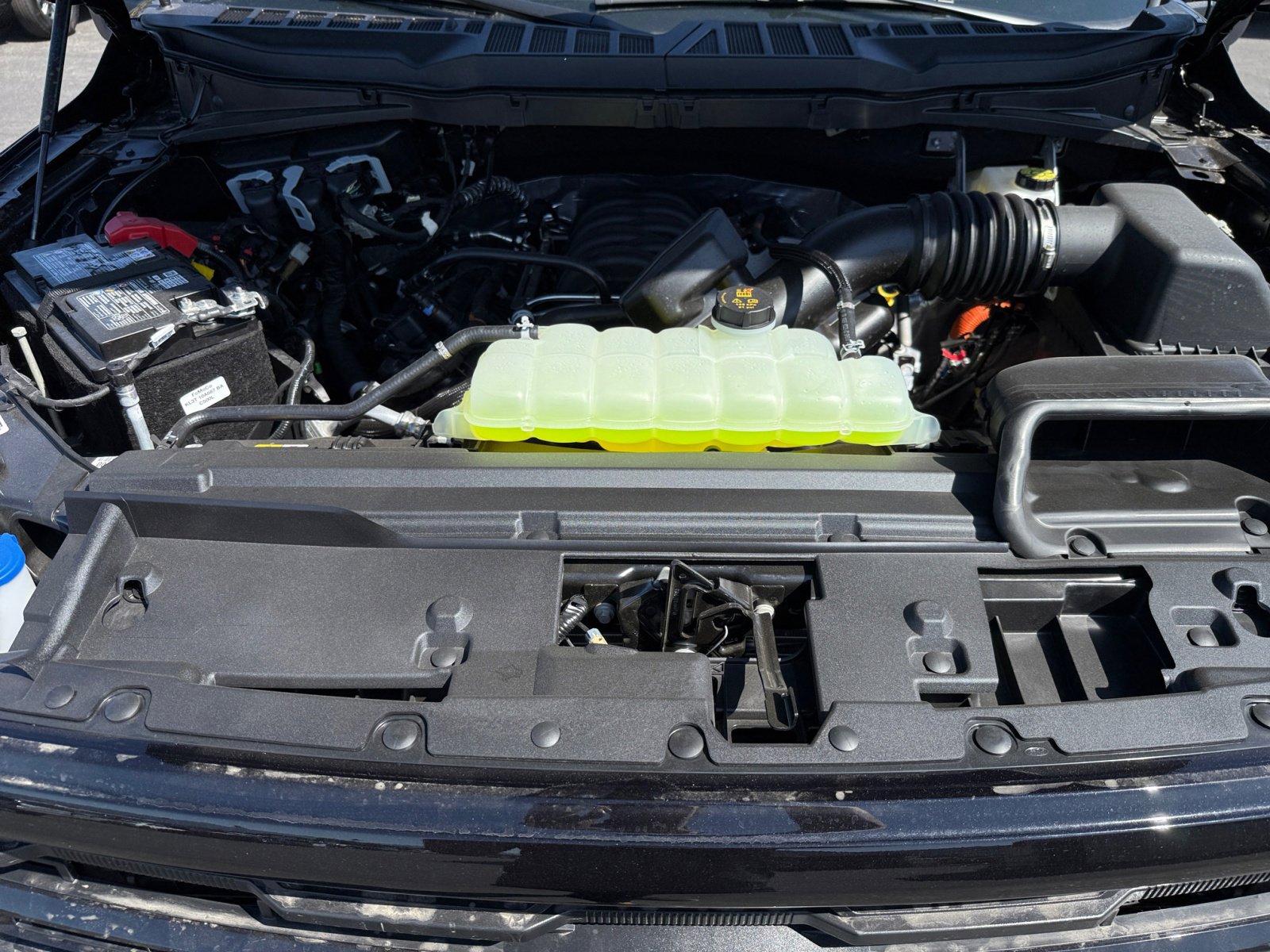 New 2025 Ford F150 XLT w/ Equipment Group 302A MID image 20