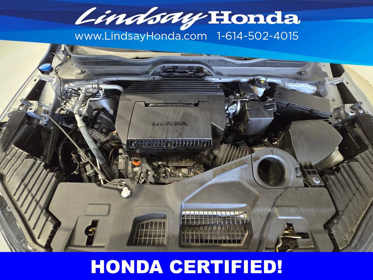 Certified 2024 Honda Pilot TrailSport image 25