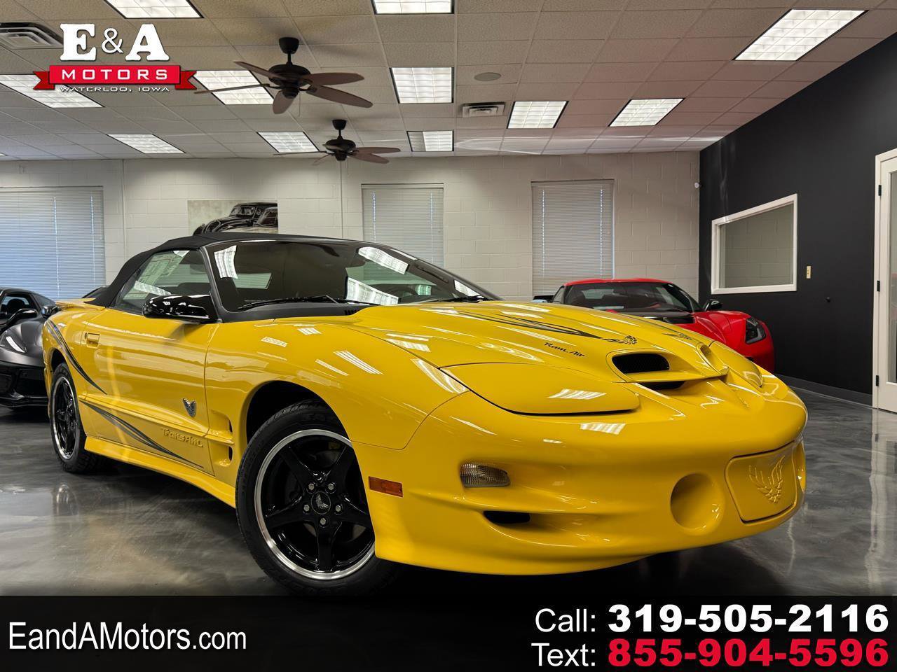 Used 2002 Pontiac Firebird Trans Am image 1