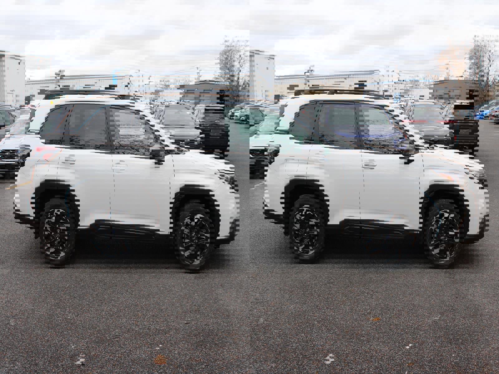 New 2026 Subaru Forester Limited image 4