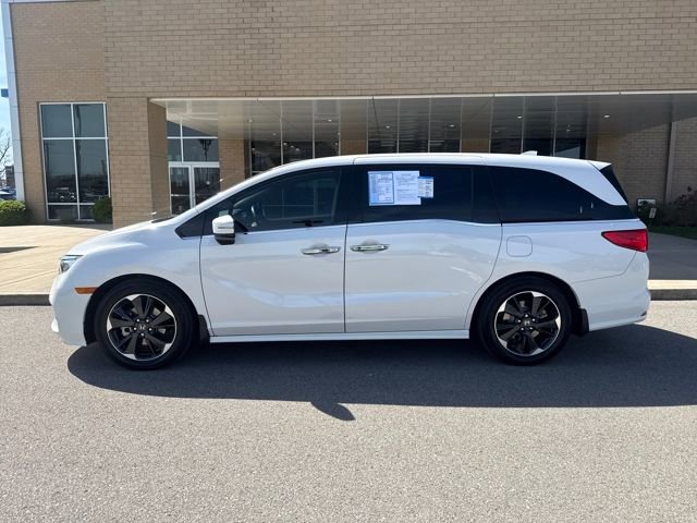 Used 2023 Honda Odyssey Elite image 1